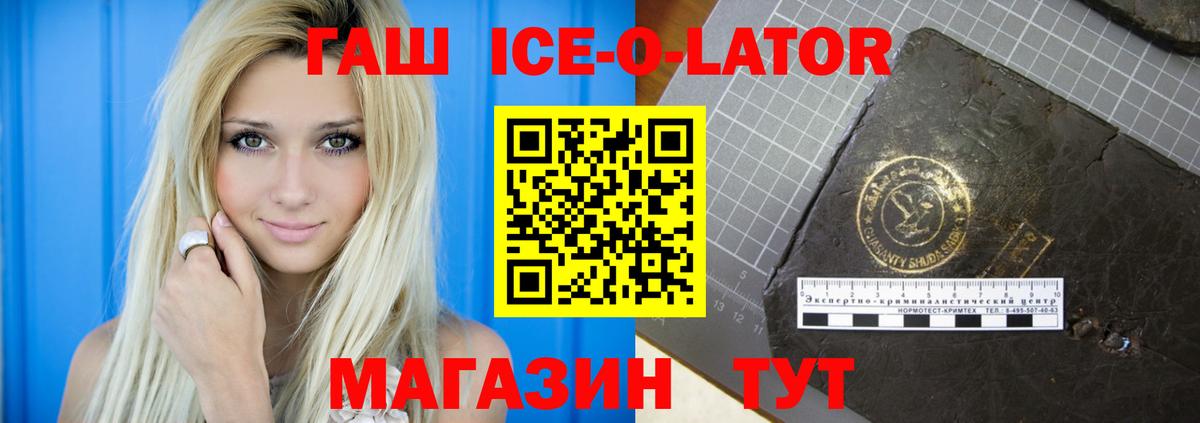 ГАШ Ice-O-Lator  ГАШ  Мичуринск  Вход с VPN 