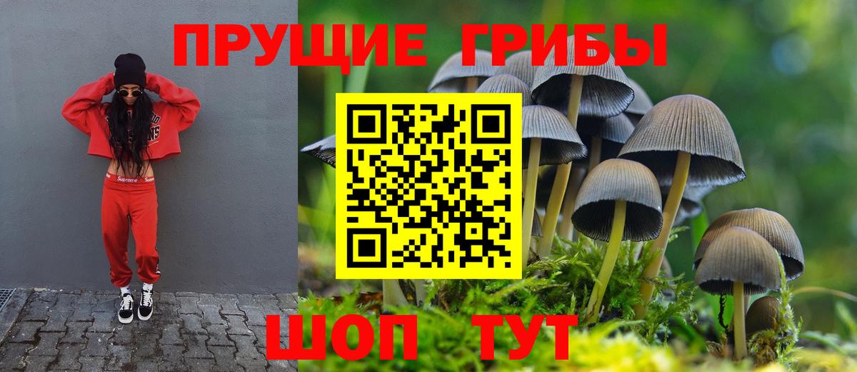 Галлюциногенные грибы Cubensis  дарнет шоп  Мичуринск  Галлюциногенные грибы мицелий  Вход с VPN 